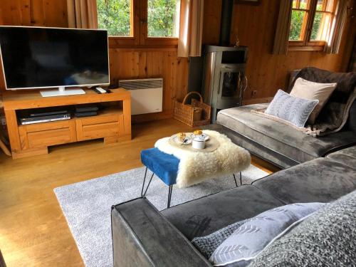 Family Chalet Central Chamonix Mont Blanc Views في شامونيه مون بلان: غرفة معيشة مع أريكة وتلفزيون