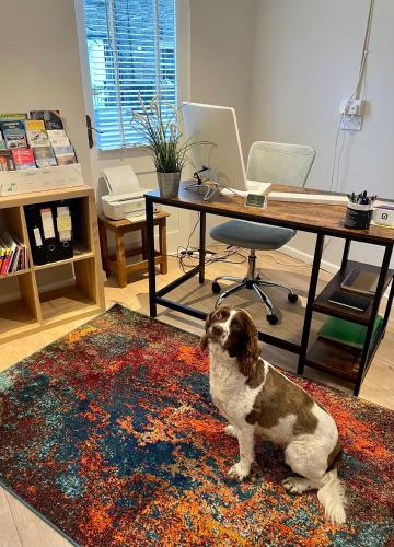 a dog sitting on a rug in an office at Lacet House in Ambleside