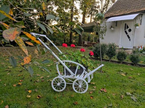 a white cart sitting in the grass in a yard at Hotel Окремий Будинок-Апартаменти in Rakoshyno