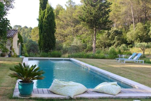 een zwembad met twee kussens in een tuin bij Mas de Rique in Saint-Étienne-du-Grès