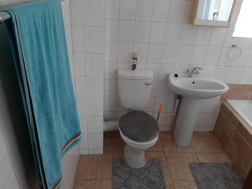 a bathroom with a toilet and a sink at TM Self Catering Accommodation in Middelburg