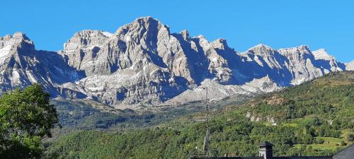 パンティコサにあるApartamento Vista Teleraの木々が目の前に広い山