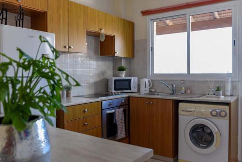 eine Küche mit einer Waschmaschine und einer Mikrowelle in der Unterkunft Melania Gardens Apartment in Klorakas