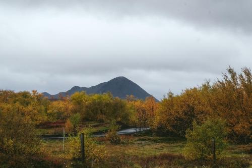a mountain in the distance with a river and trees at Mývatn apartments in Myvatn