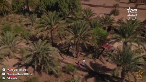 a group of palm trees in the desert at Chez Madani in Mhamid