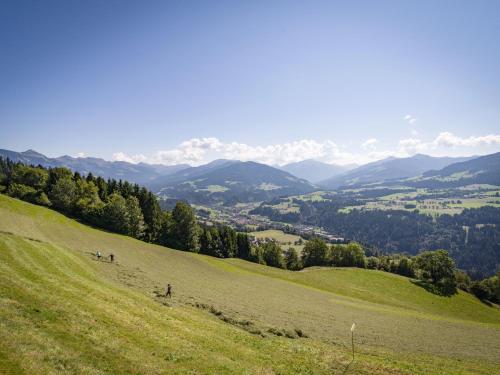 a group of people on a grassy hill with mountains at Haus Hofbichl in Itter