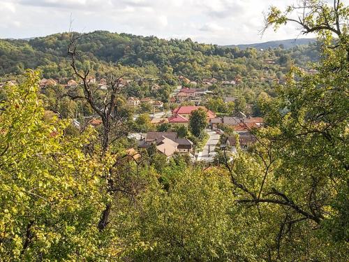 a view of a town through the trees at Pensiunea Agroturistică Piscul Soarelui in Cîmpulung
