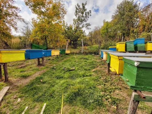 a row of colorful bins in a field at Pensiunea Agroturistică Piscul Soarelui in Cîmpulung