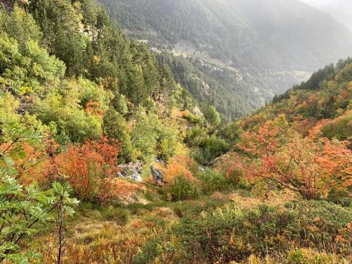 Paisaje cerca de este apartamento