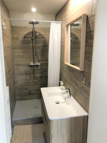 une salle de bain avec un lavabo et une douche dans l'établissement Hyper-centre Reims Climatisation Rénové, à Reims