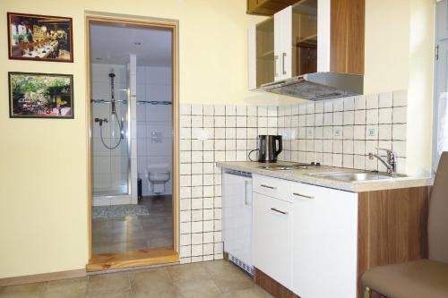 ein Bad mit einem Waschbecken und einer Dusche mit einem WC in der Unterkunft Ferienwohnung Häckerstub'n Zang in Sommerach