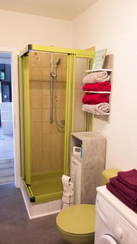 a bathroom with a shower and a toilet and towels at Ferienwohnung Sören in Nahrendorf