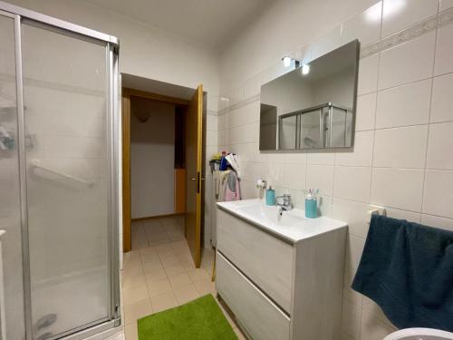 W łazience znajduje się umywalka, prysznic i lustro. w obiekcie Appartamento Capri w Arco