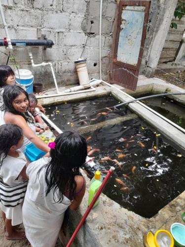 a group of people standing around a koi pond at Bio Coliving Tayrona in Santa Marta