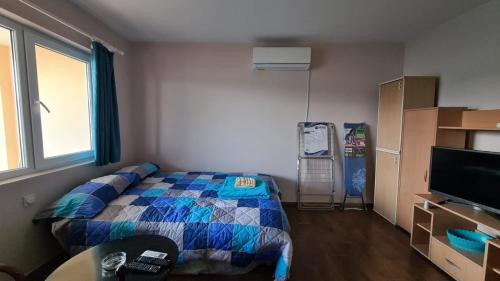 a bedroom with a bed and a television in it at Koliba in Pirot