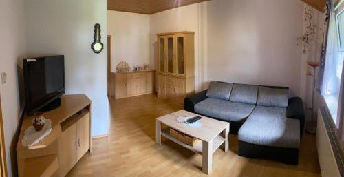 a living room with a couch and a tv at Ferienwohnung Haasen in Lauscha