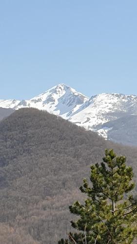 a snow covered mountain with a tree in the foreground at Lo chalet Biancaneve in Picinisco