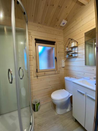 uma casa de banho com um WC, um lavatório e um chuveiro em El naval de la Parra II em Sejas de Sanabria