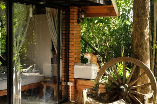 a cat sitting in a pot next to a wheel at Ashi Guesthouse Chiangdao in Chiang Dao