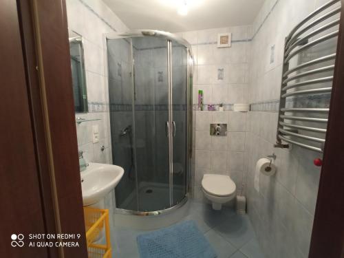 ヴィスワにあるPOKOJE GOŚCINNE "DOMINIK"のバスルーム(シャワー、トイレ、シンク付)