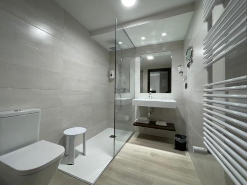 ein Bad mit einem WC und einem Waschbecken in der Unterkunft Hotel Remigio in Tudela