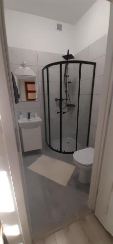 a bathroom with a shower and a toilet at Kraków Chilli Hostel in Kraków