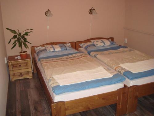 two twin beds in a room with a potted plant at Platán Panzió in Nagyszénás