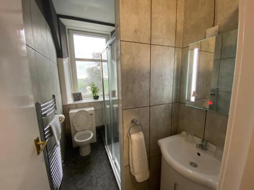 a bathroom with a toilet, sink and mirror at Ernespie House Hotel in Castle Douglas