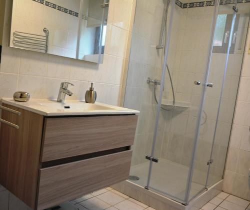 a bathroom with a sink and a shower at Ferienwohnung im Storkenbusch in Beckingen