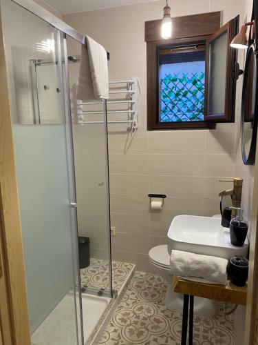 a bathroom with a shower and a toilet and a window at Apartamento rural Prunus avium in Cambrón