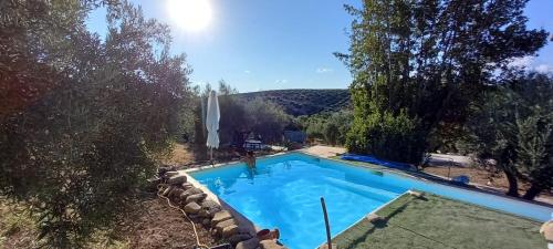 una gran piscina en un patio con árboles en Vivienda rural del salado en Jaén