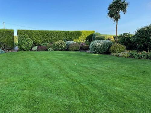 a yard with a green lawn with bushes and a palm tree at Galloway Farmstay Claunch in Newton Stewart