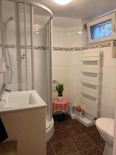 une salle de bain avec une douche, un lavabo et des toilettes dans l'établissement La Casetta en ALSACE, à Schiltigheim