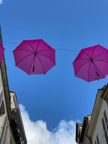 Fotografie z fotogalerie ubytování Choupy’Cosy v destinaci Blois