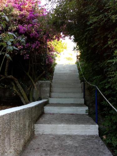 Фотография из галереи KAMINAKIA Apartments-Adults only -Walk into a tranquil oasis where peace & quiet are woven into every breath -Nestled within a serene evergreen cypress forest, each Apartment opens wide to the endless sea and a sunbathed pool awaits to soothe your senses в городе Фискардо