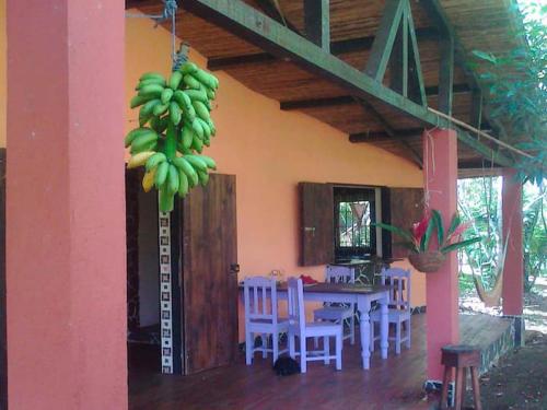 Une bande de bananes vertes suspendues à une maison dans l'établissement Vanilla Jungle Lodge - Rainforest Waterfall Garden, à Puerto Viejo