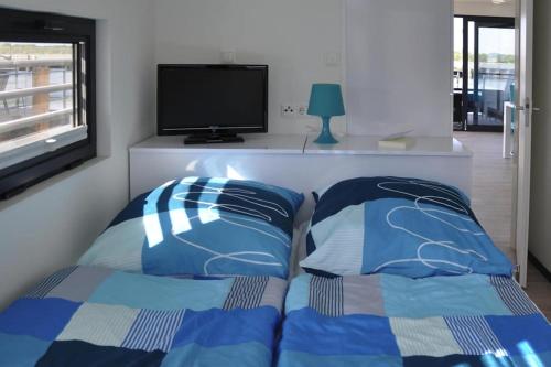 1 dormitorio con 2 almohadas azules y TV en Houseboat Floating House "Luisa", Ribnitz-Damgarten, en Ribnitz-Damgarten