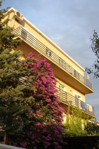 a building with pink flowers in front of it at Bed & Breakfast Dora in Rovanjska