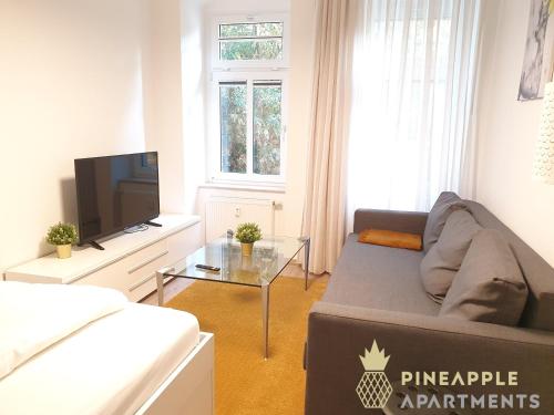 uma sala de estar com um sofá e uma televisão em Ruhiges Hinterhof Apartment im Herzen der Neustadt em Dresden