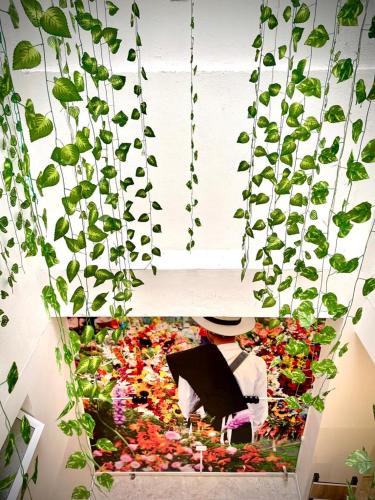 a picture of a bunch of plants hanging from a ceiling at Hotel Eterna Primavera in Medellín