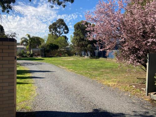 Κήπος έξω από το Motel Stawell