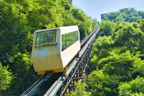 a train on a bridge in the trees at Iya Onsen in Miyoshi