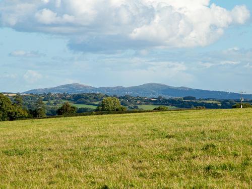 a field of grass with mountains in the background at Frith Green in Bromyard