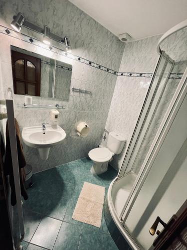 a bathroom with a toilet and a sink and a shower at Pension Silvie in Vlašim