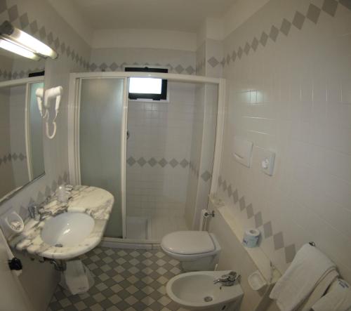a bathroom with a sink and a toilet and a shower at Hotel Carlton in Riccione