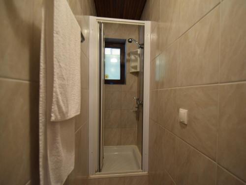 a bathroom with a shower with a mirror at Apartments Skender in Vantačići