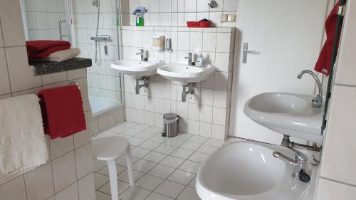 Kamar mandi di Ferienwohnung am Kammweg