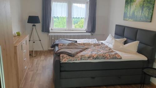 ein Schlafzimmer mit einem Bett, einer Kommode und einem Fenster in der Unterkunft Ferienwohnung am Kammweg in Jöhstadt