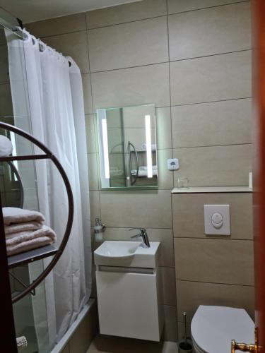 ein Badezimmer mit einem Waschbecken, einem WC und einem Spiegel in der Unterkunft Pension Kreihe im Harz in Bad Lauterberg