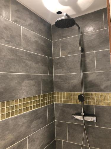 La salle de bains est pourvue d'une douche avec un pommeau de douche. dans l'établissement Charmante maison à deux pas de la mer, à Gouville-sur-Mer